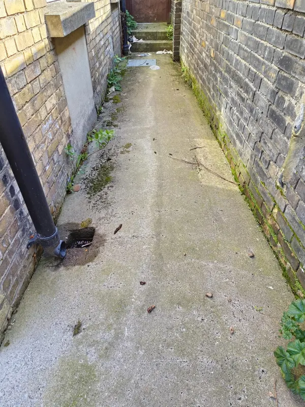 Concrete before — side passage with moss, weeds and debris