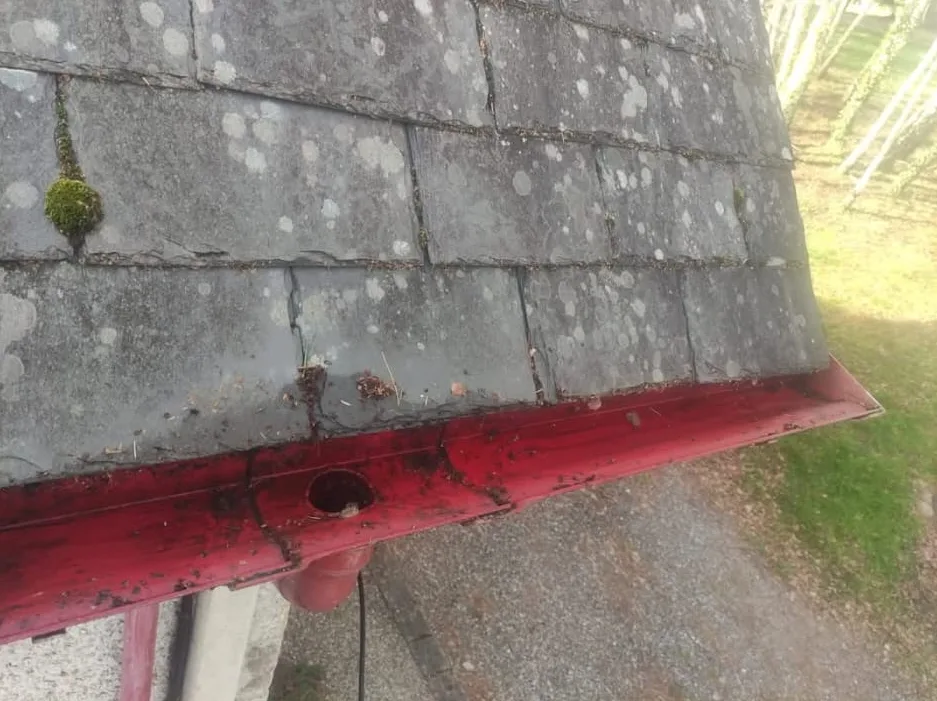 Gutter cleared right to the downpipe outlet
