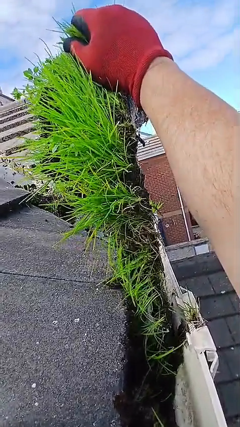 Gloved hand pulling a clump of grass out of a blocked gutter in Dublin