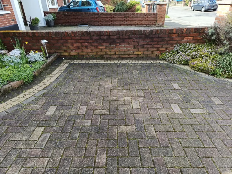 Block paving dark with moss and weeds in the joints