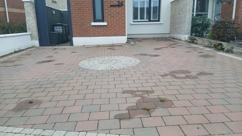 Before — weeds through the paving joints, with weed killer applied